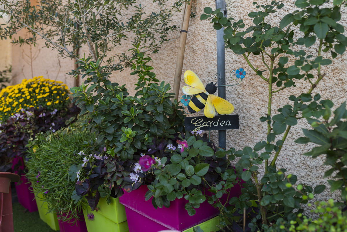 Produits frais et jardin du Petit Charlot